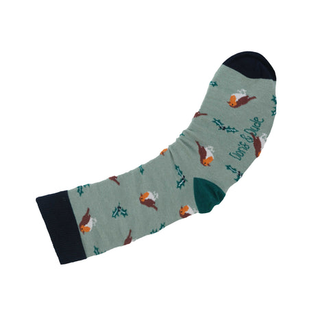 An image of a Green Robin  calf length sock by Doris & Dude